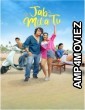 Jab Mila Tu (2024) Season 1 Hindi Complete Web Series